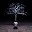 Album II: The Land Of The Twisted Tree