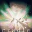 cradle