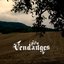 VENDANGES - VENDANGES 1ST DEMO