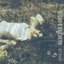 OPHELIA