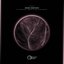 Amor Remixes