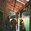Fleet Foxes Sing the '60s