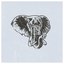 ELEPHANT - Single