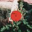 One Last Nothing - Single