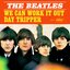 We Can Work It Out / Day Tripper