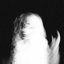 Nocturnes - Sessions
