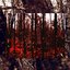 Crimson Dawn