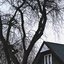 i live in nitemare town