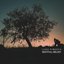 Nightfall Melody