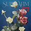 Sorry - Single