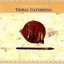 Terra Incognita - Tribal Gathering - Chinmaya Dunster