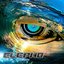 New Vision