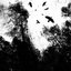 Autumn's Dawn (EP)