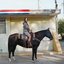 Uncertain, TX