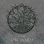 Orchard