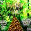 GoLDeN TRaiL$