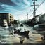 Flood