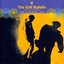 The Soft Bulletin (Vinyl)