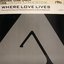 Dance Vault Mixes - Where Love Lives