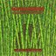 AI-05: The Bamboo Recordings