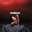 MISEDUCATION