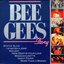 Bee Gees Story