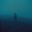 bipolar (Remixes)
