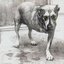 Alice in Chains