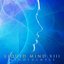 XIII Mindfulness