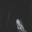 Bloodless [Explicit]