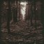 Woodland Passage