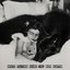 White Feather Hawk Tail Deer Hunter (TRIP HOP REMIX)