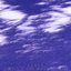 Sweet Sickle Moon