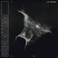 Soror Aeterna - Single