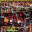 Fever To Tell (Explicit)