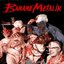 Sex, Blood and Gore 'N' Roll