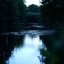 solitude of memory