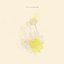 chamomile
