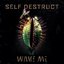 Self Destruct EP