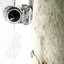 Album cover of Sound of Silver by LCD Soundsystem