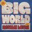BIG WORLD