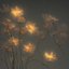 Fading Lights