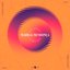 Alok Remixes