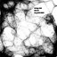 Mood Algorithms (Original)