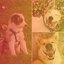 Simplistic Backdrop for Playful Dogs