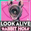 Rabbit Hole - Single