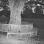 A New Place 2 Drown