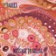 Message to Belial - Single