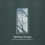 Spitting Image (with Andrew McMahon in the Wilderness)