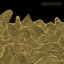 Principles And Particles